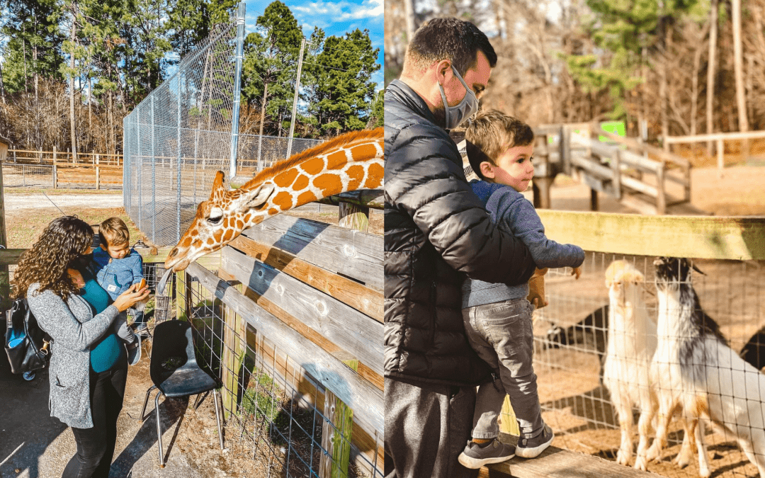 Aloha Safari Zoo NC