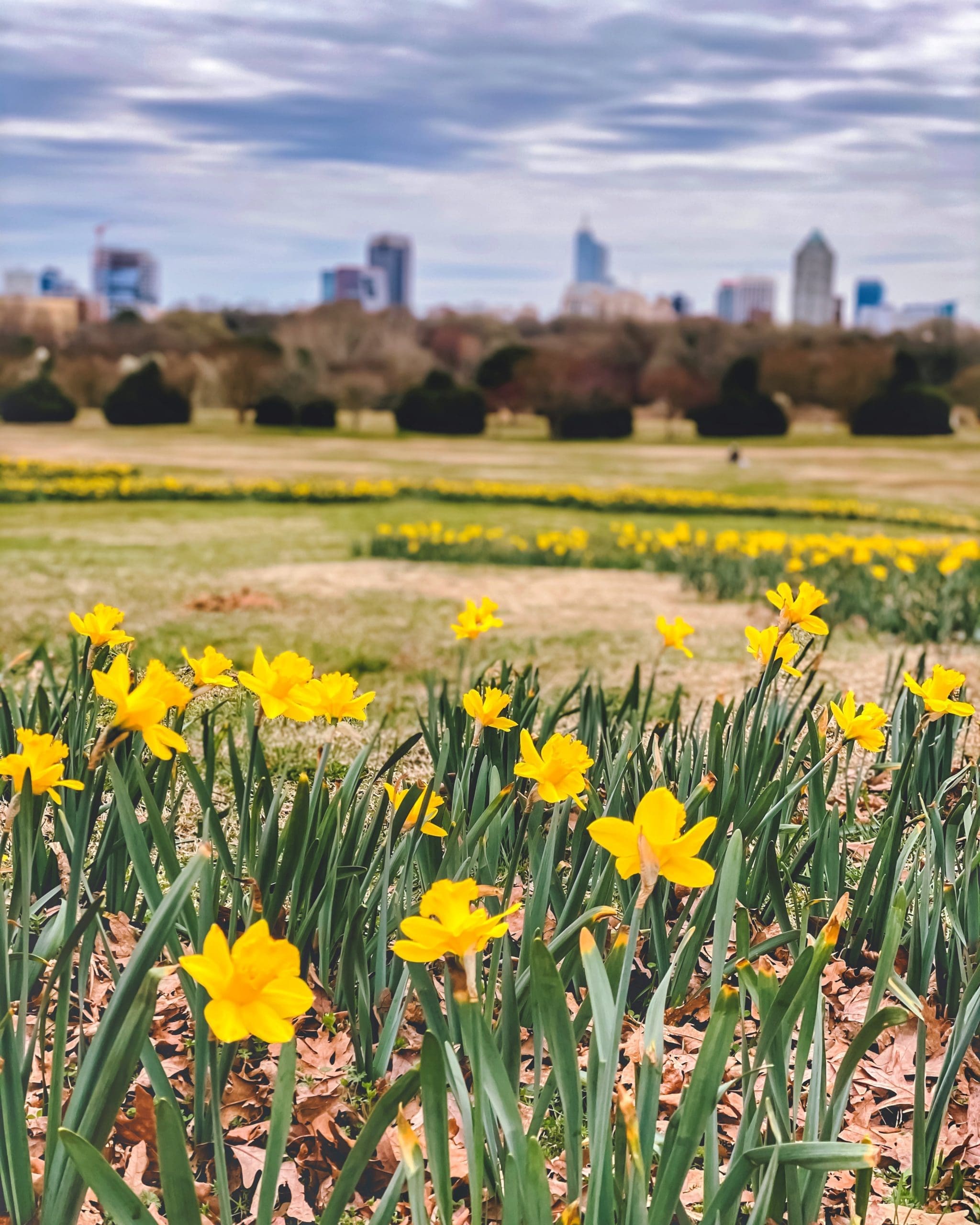 Dorothea Dix Raleigh