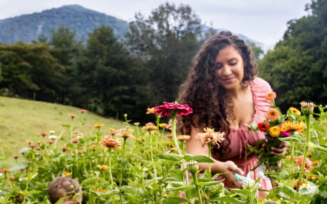 The Never Ending Flower Farm: You-Pick Flowers Near Asheville