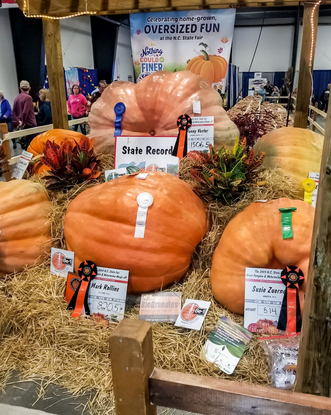 state fair