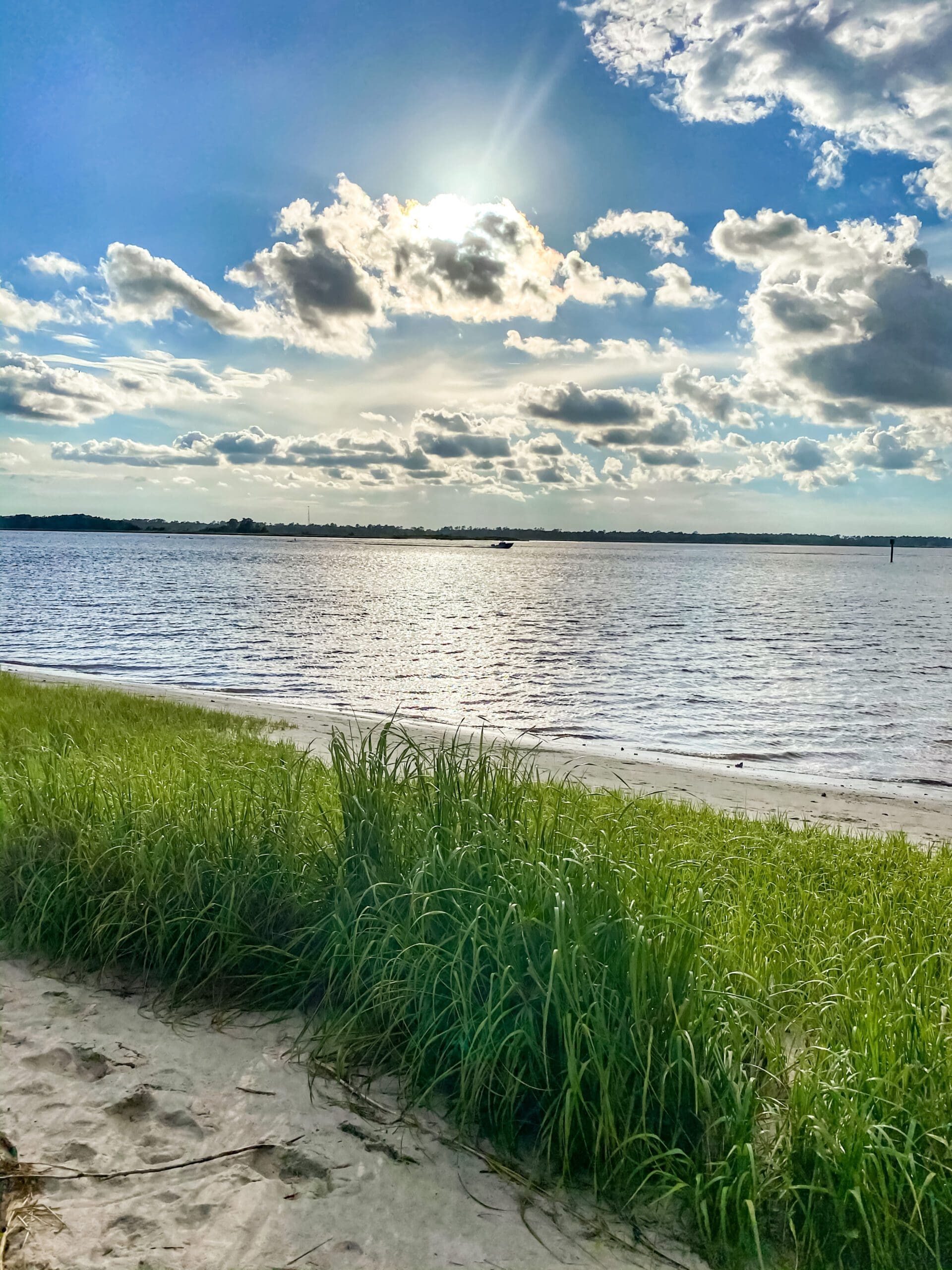 Carolina Beach State Park