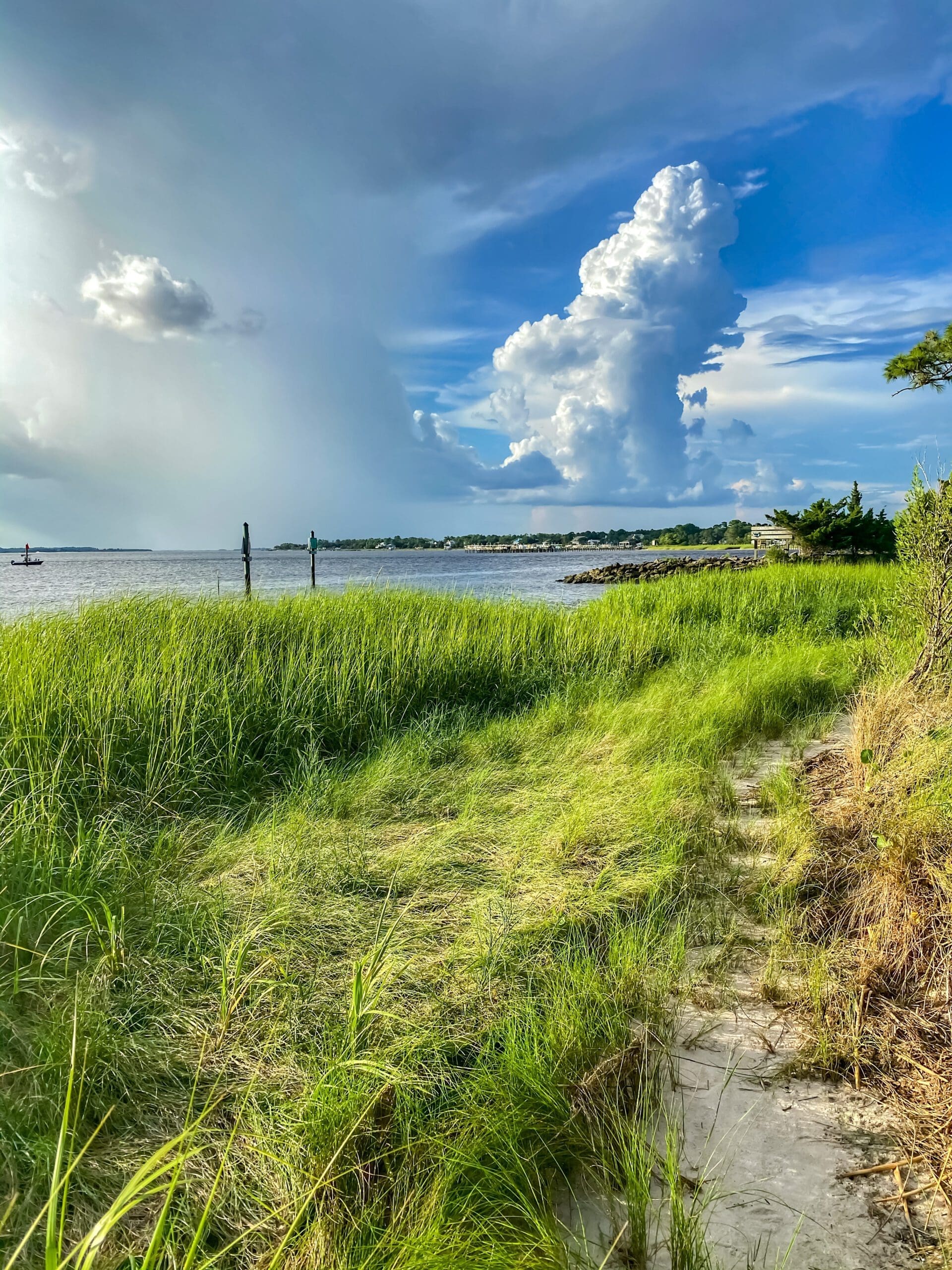 Carolina Beach State Park