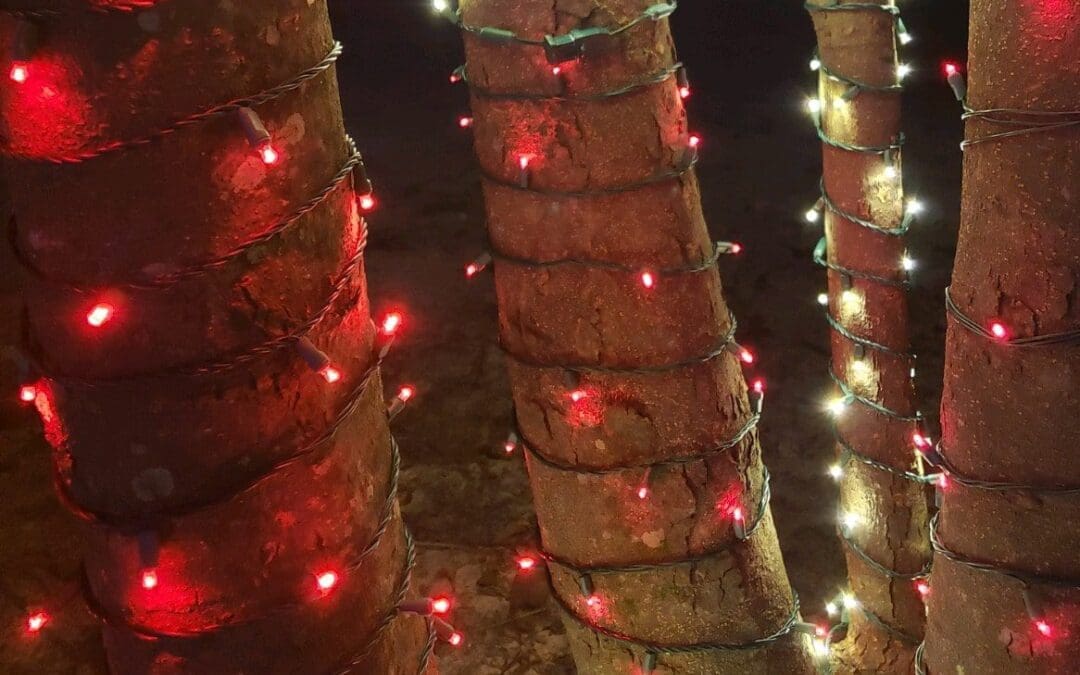 Celebrate Christmas in Leland | Warm Drinks, Sweet Treats