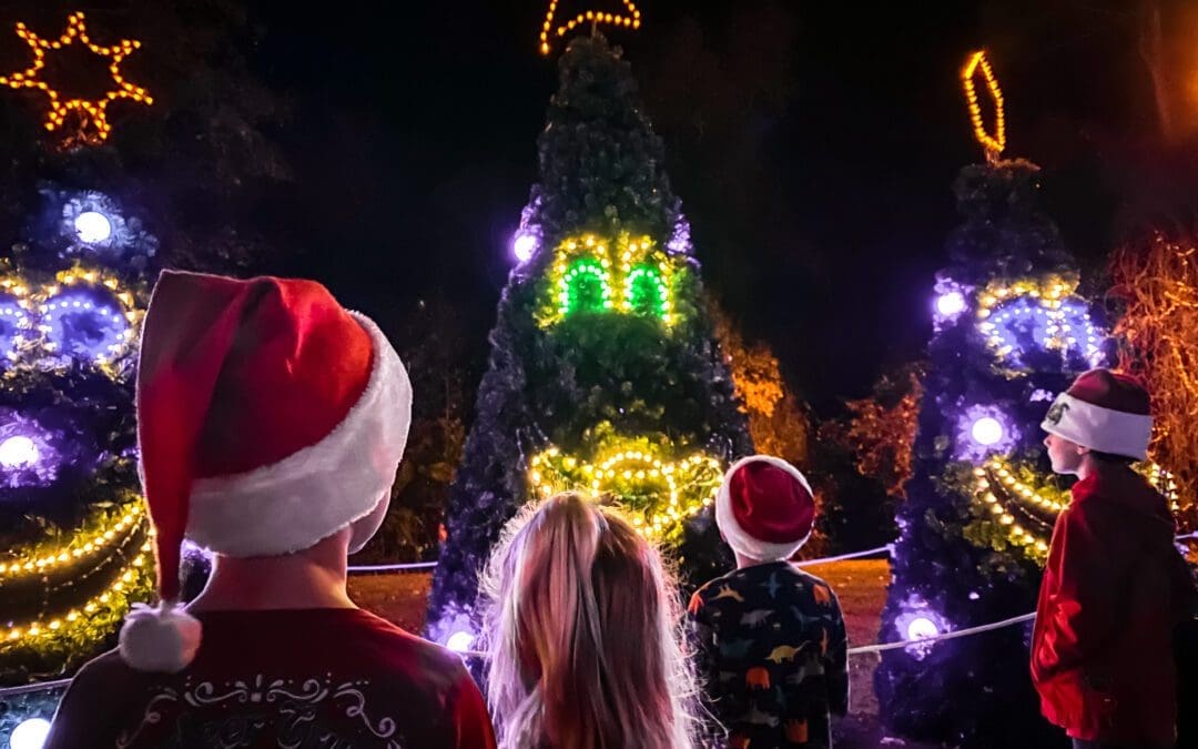 Leland in Lights Grand Illumination Recap