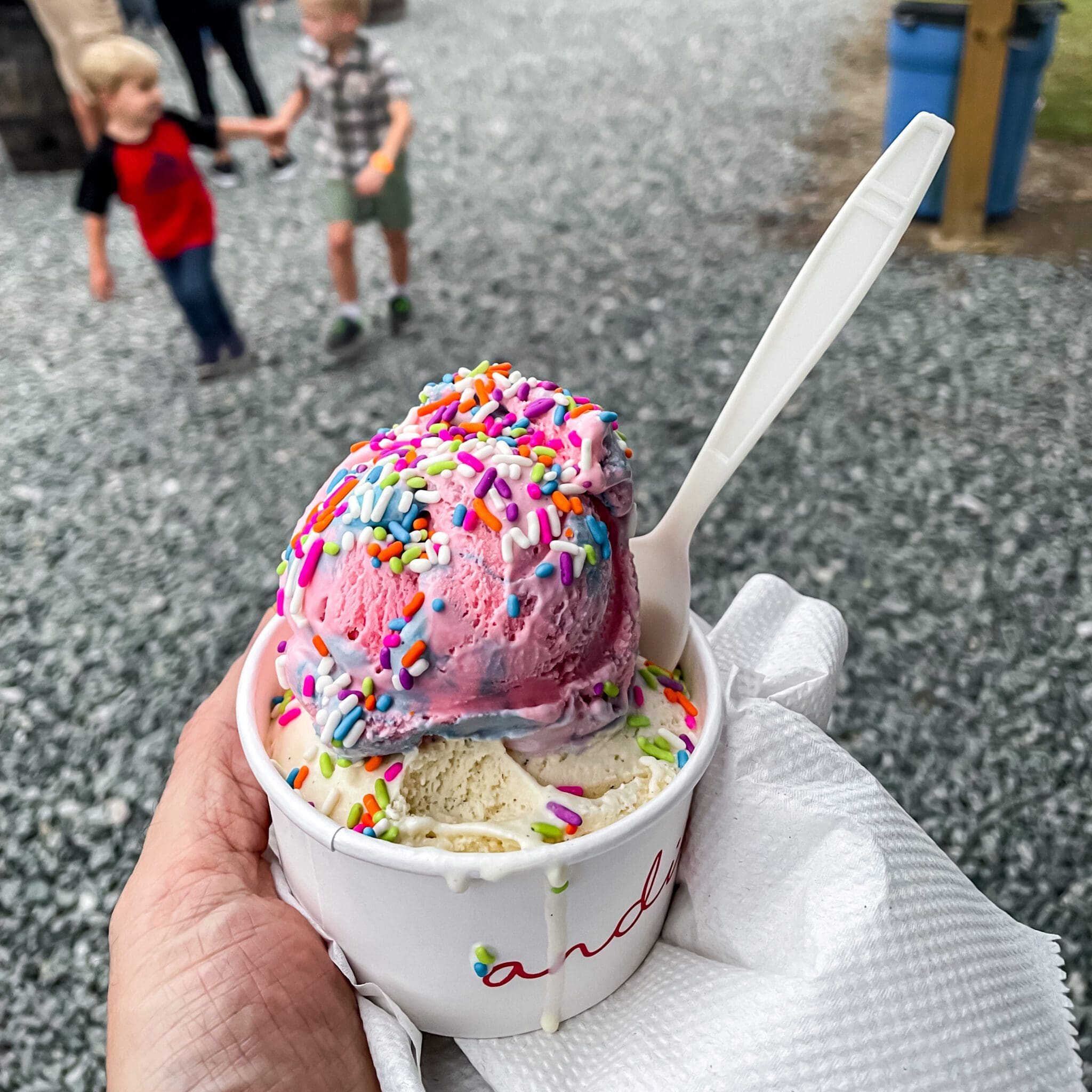 Andia's Homemade Ice Cream