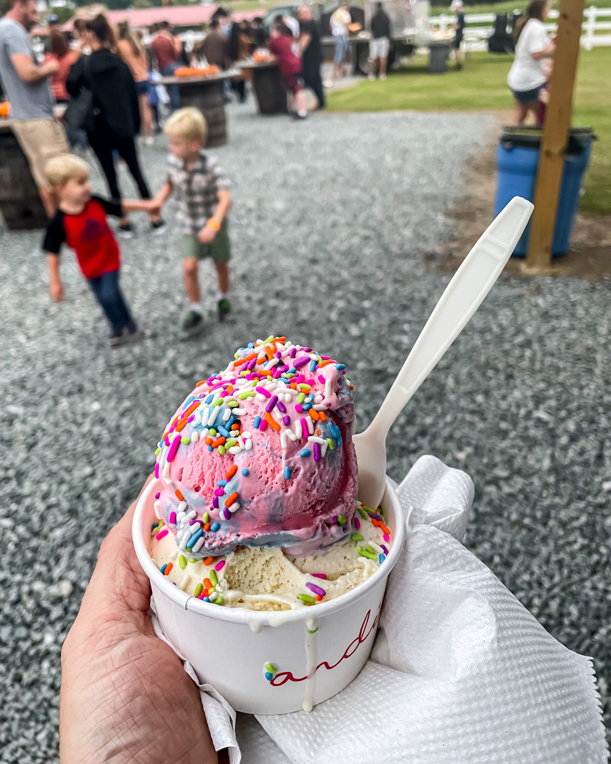 Andia's Homemade Ice Cream