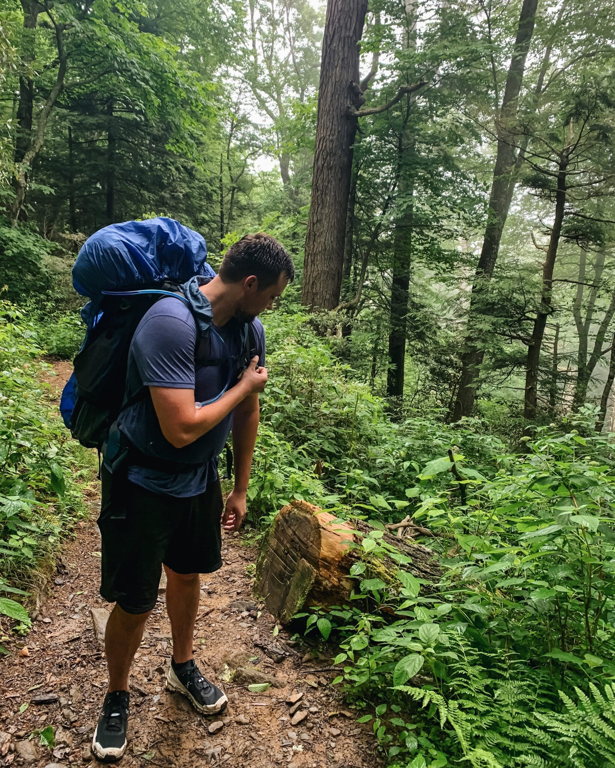 Backpacking 