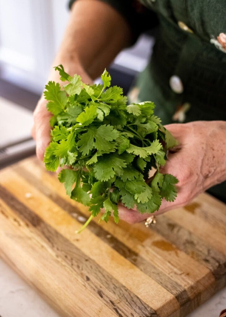 Cilantro