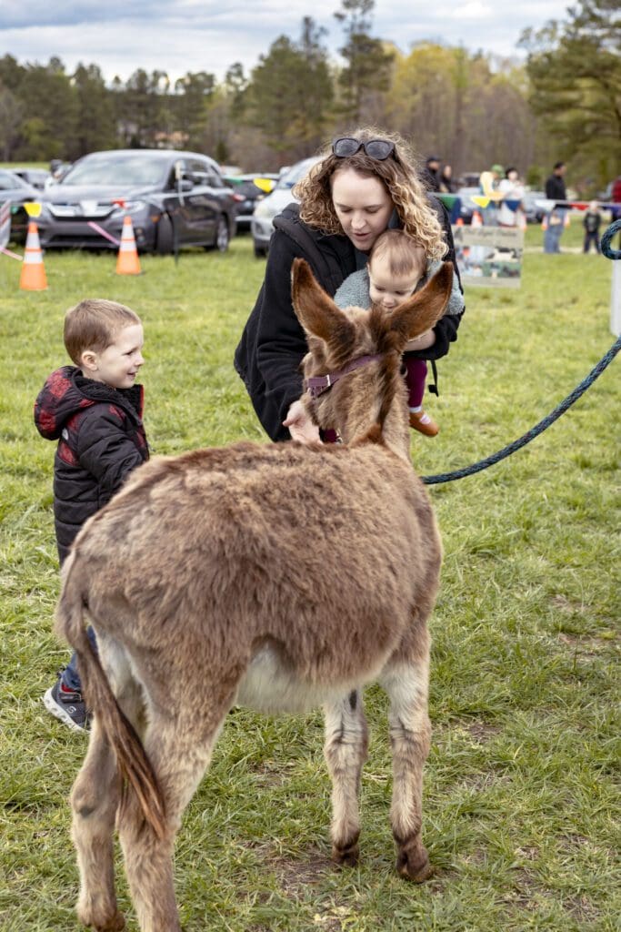 Pint Sized Pasture