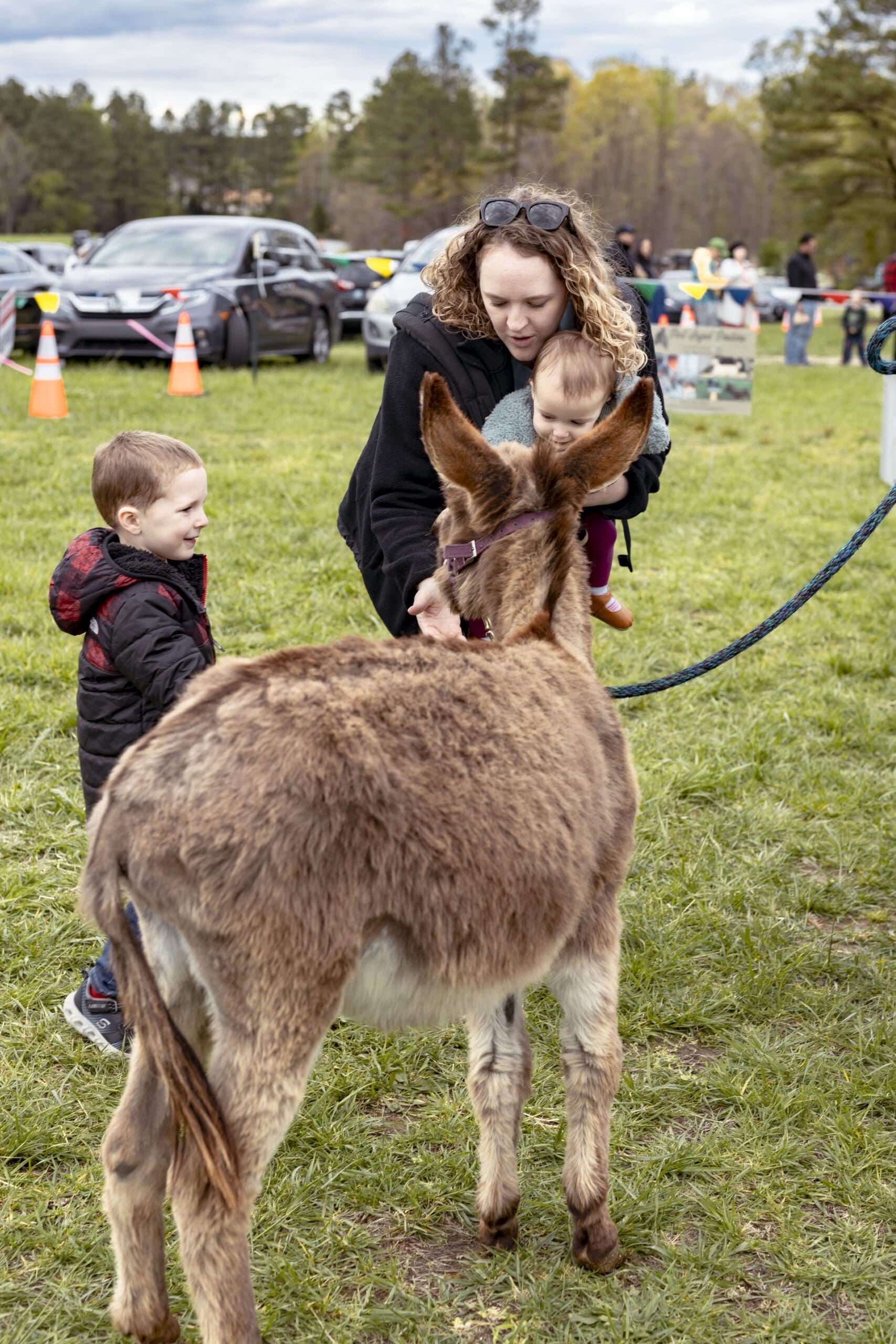 Pint Sized Pasture