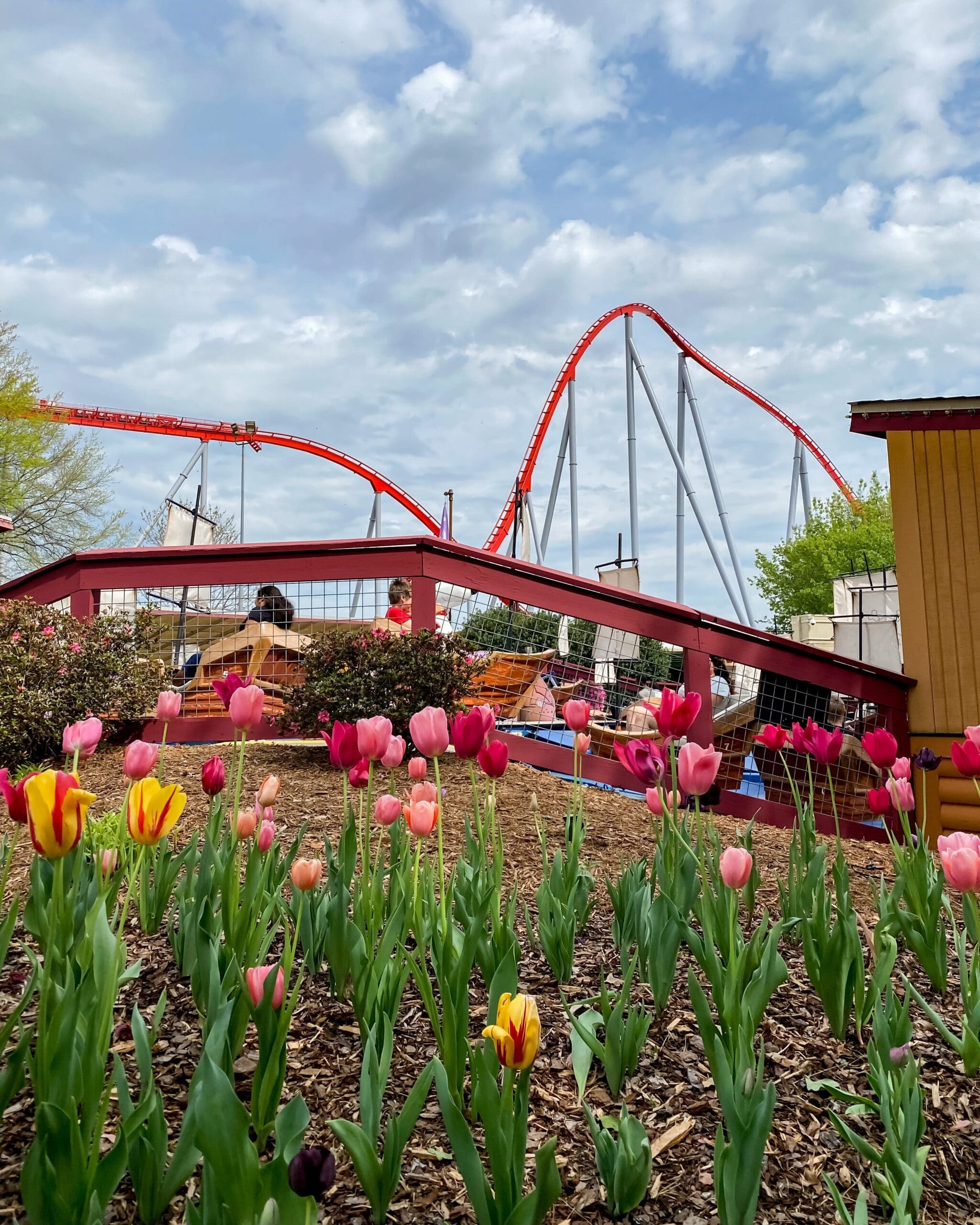 Rollercoasters at Carowinds
