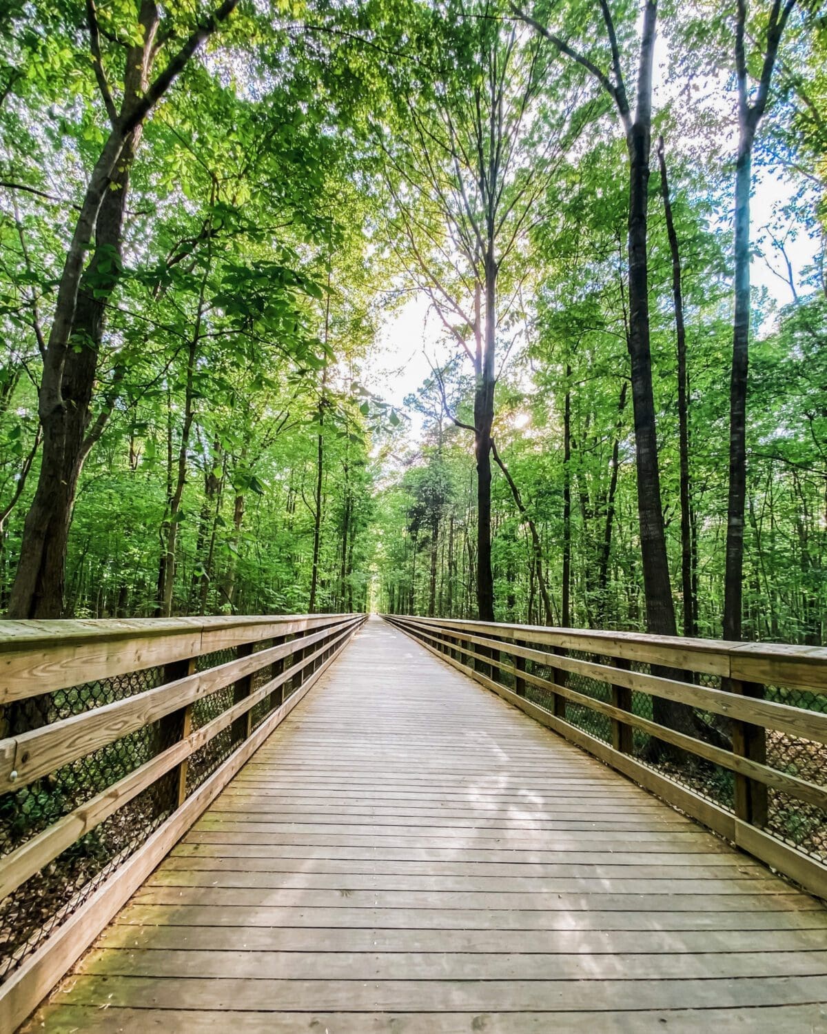 where to take out-of-town guests in raleigh