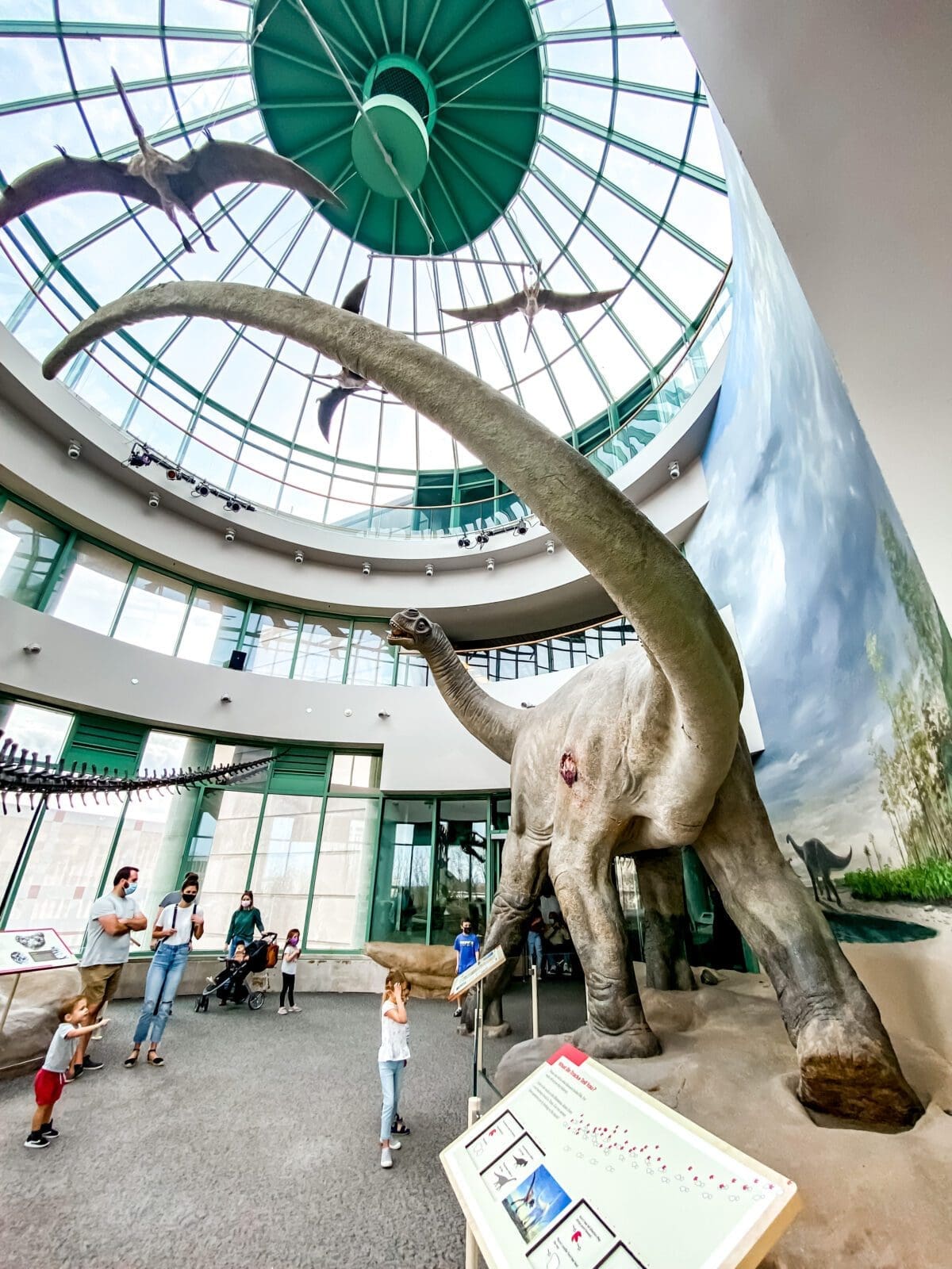NC Museum of Natural Sciences