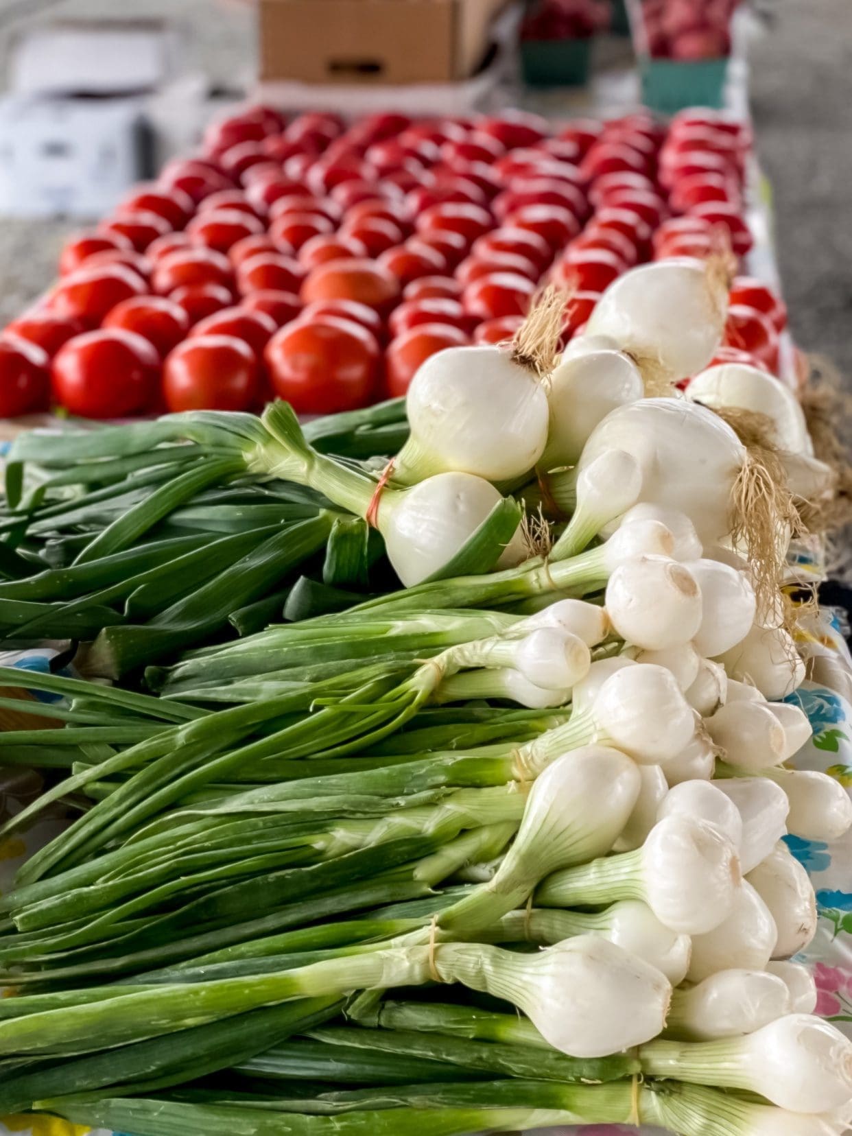 Farmer's Market