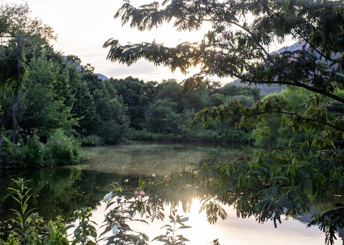 Morse Park