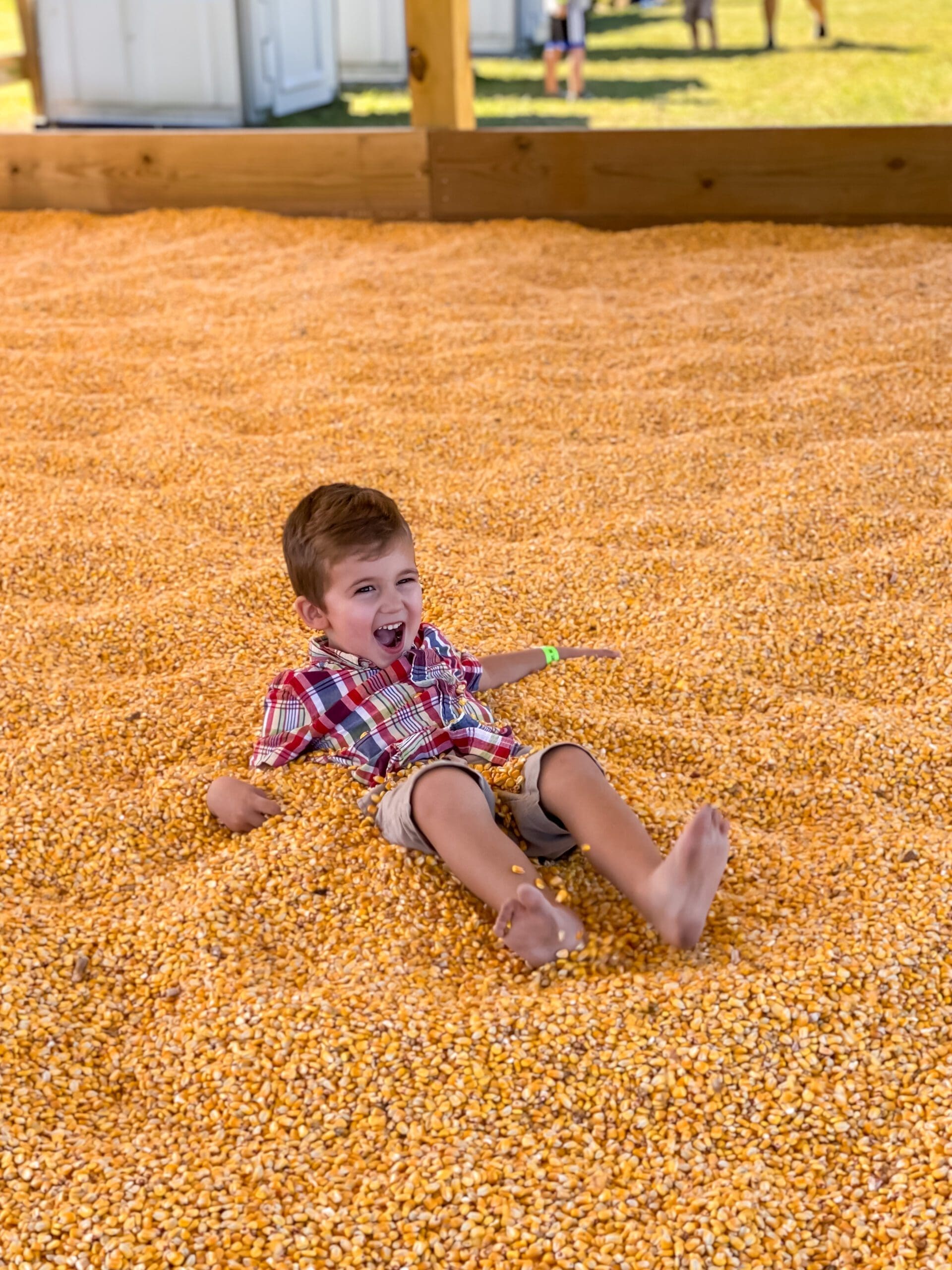 phillips farms fall
