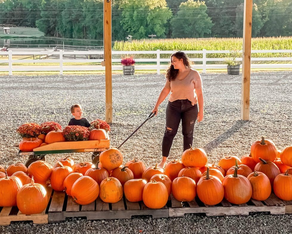 Fall in North Carolina Bucket List of Best Things to Do NC Eat & Play