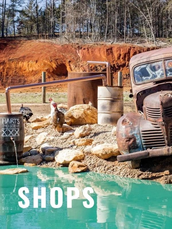 Shops in the NC Foothills
