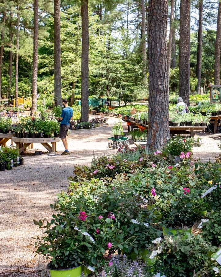 plant store