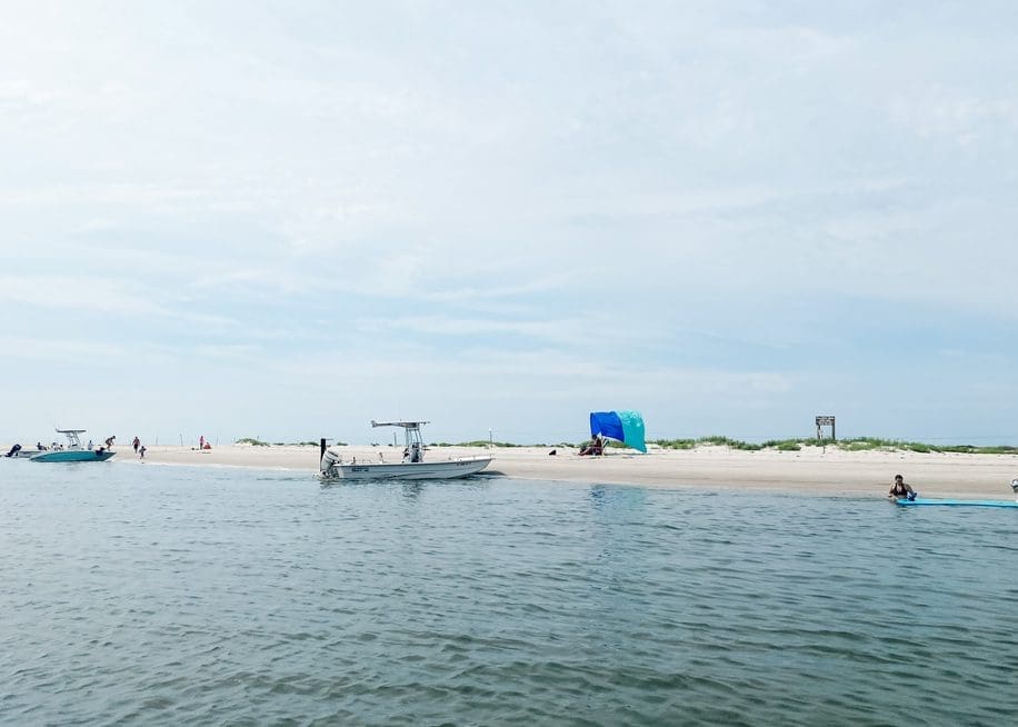 bear island