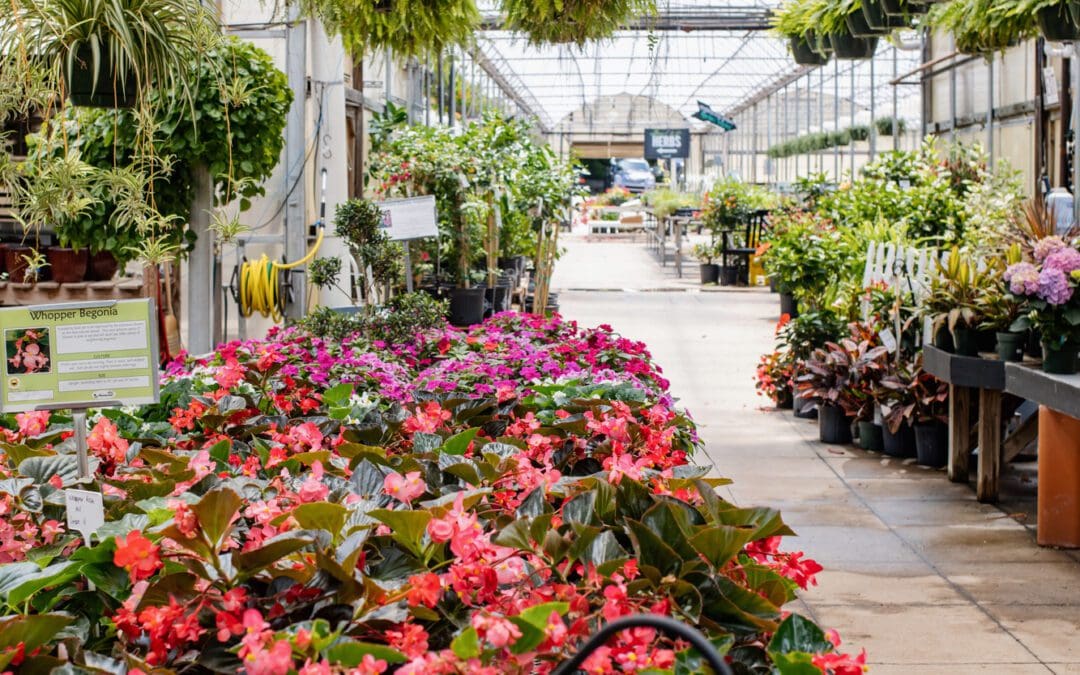 Homewood Nursery And Garden Center | Raleigh’s Most Beloved Plant Store