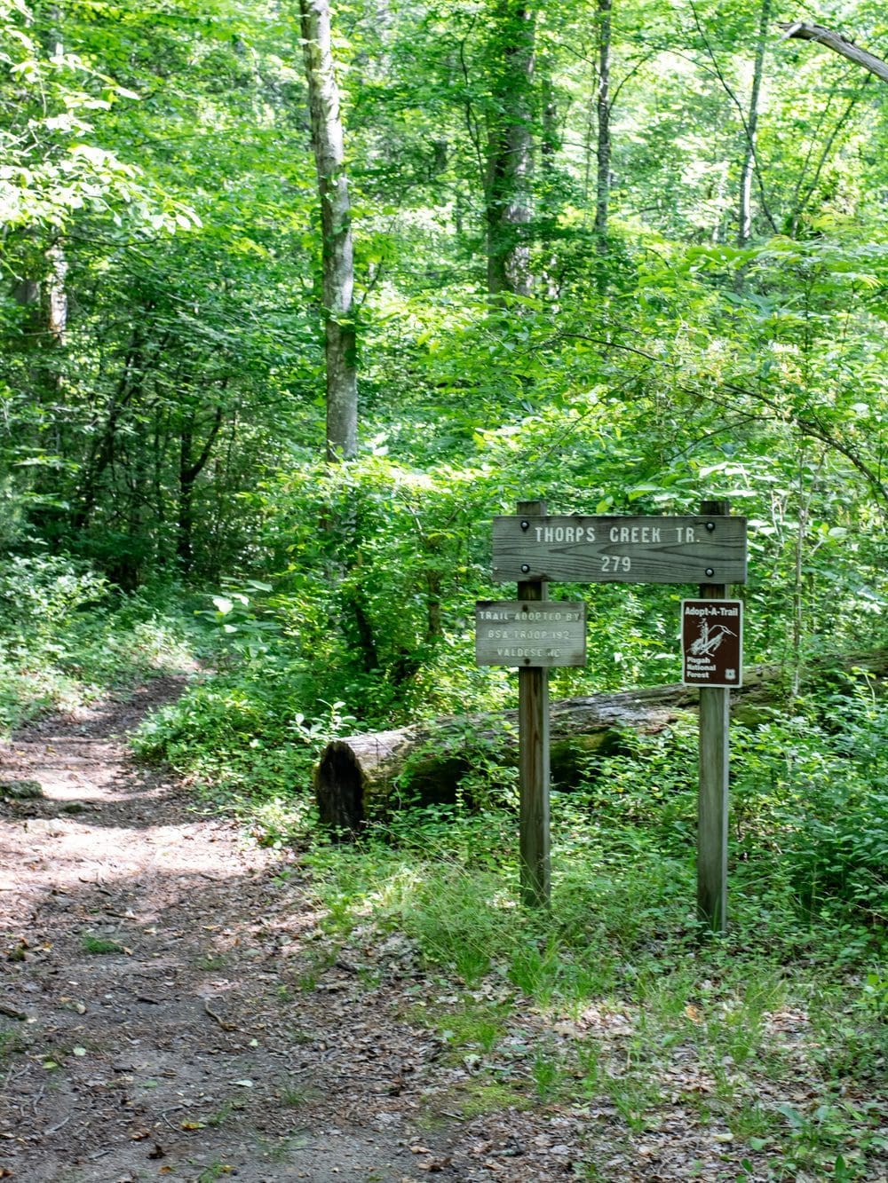 Trailhead
