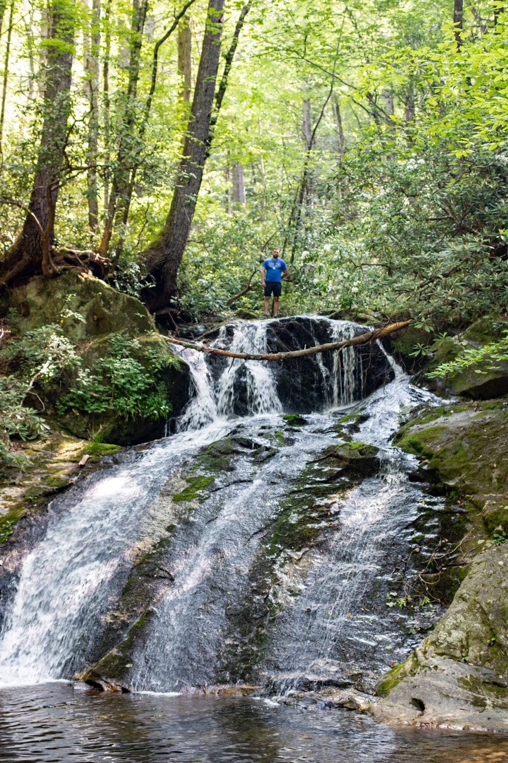 harrison hiking