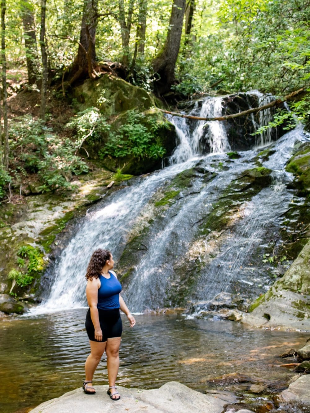 Thorps Creek falls