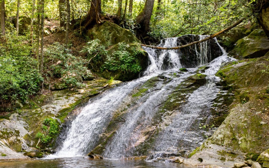 Thorps Creek Falls: An Easy To Reach WaterFall in NC
