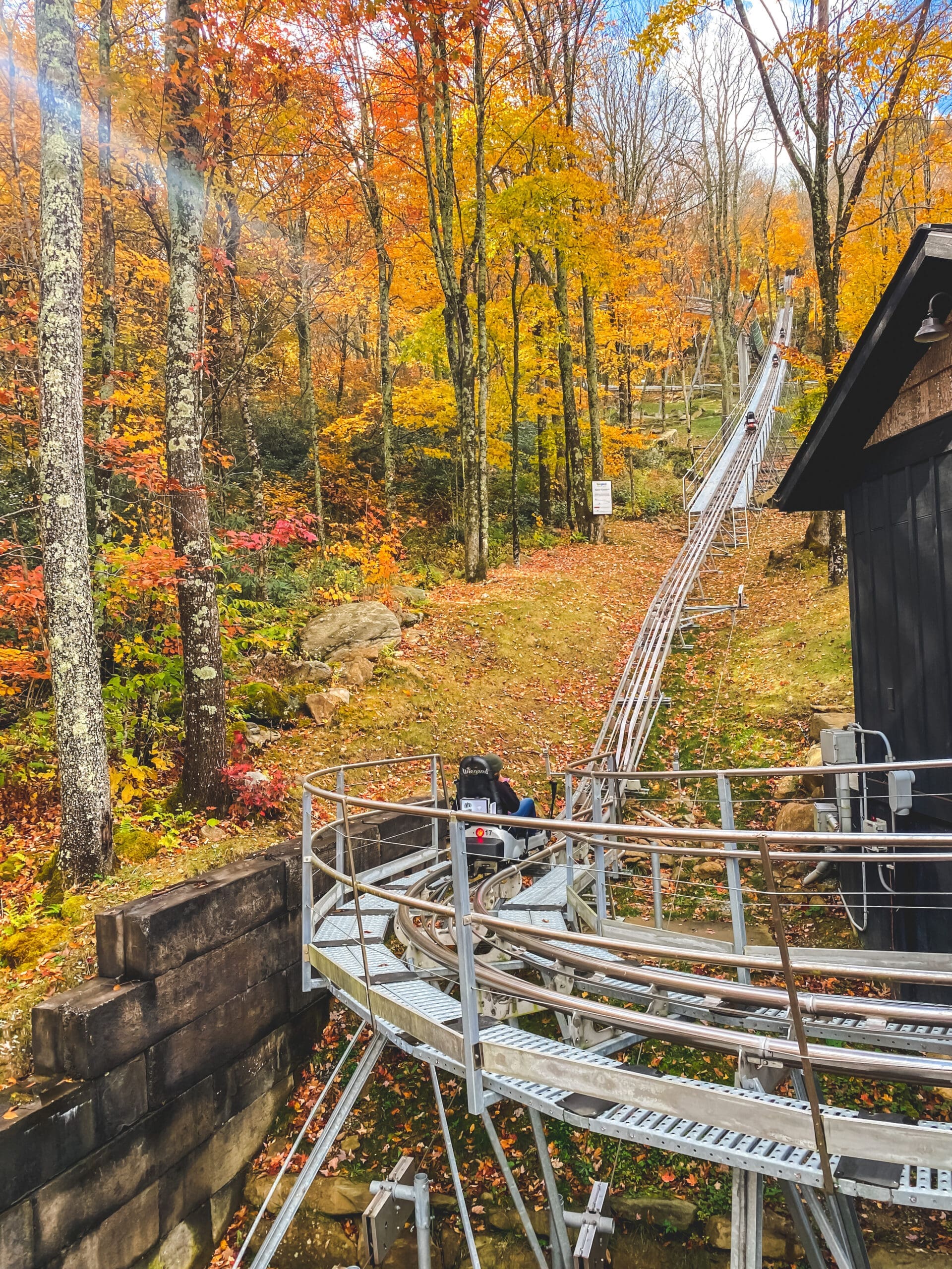 Wilderness Run Alpine Coaster Ride Through the Mountains of North