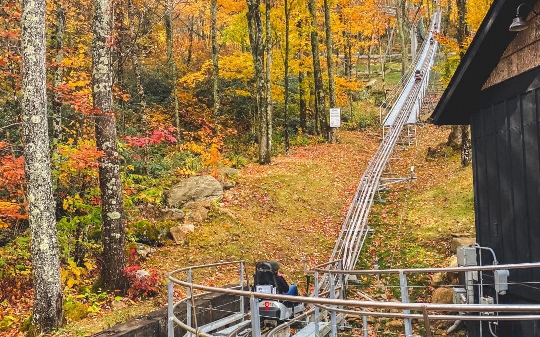 Wilderness Run Alpine Coaster: Ride Through the Mountains of North Carolina