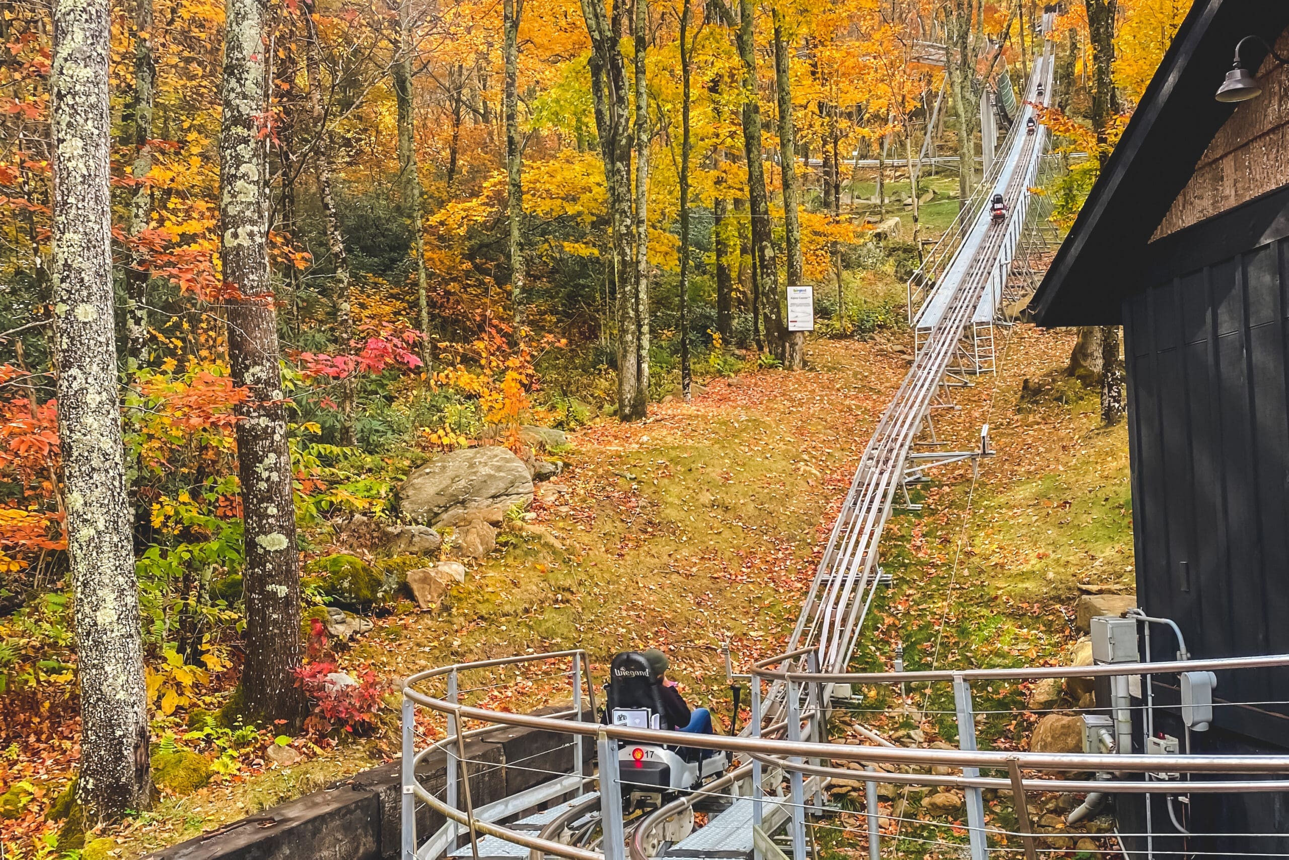 wilderness run alpine coaster