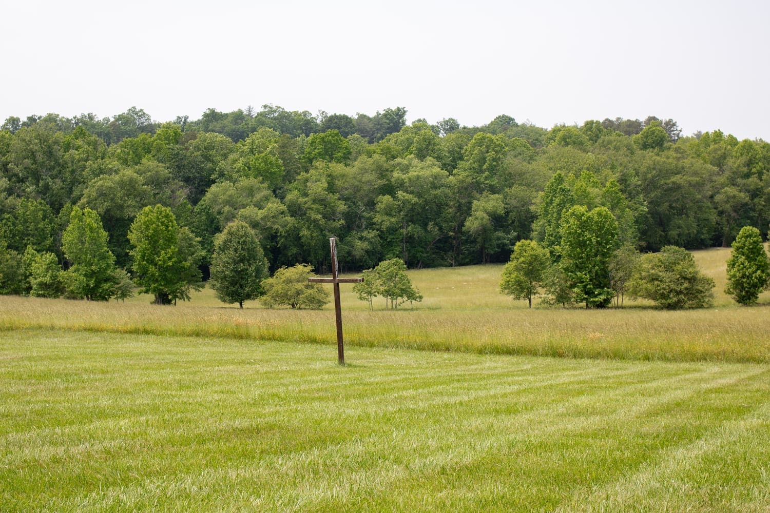 red cedar farm
