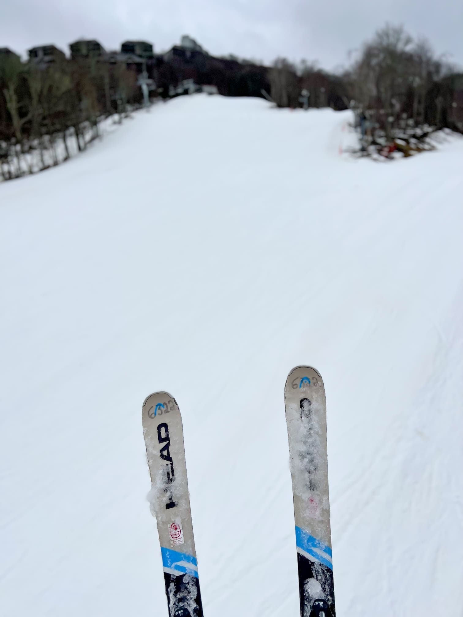 Sugar Mountain Ski Resort Nc Eat And Play