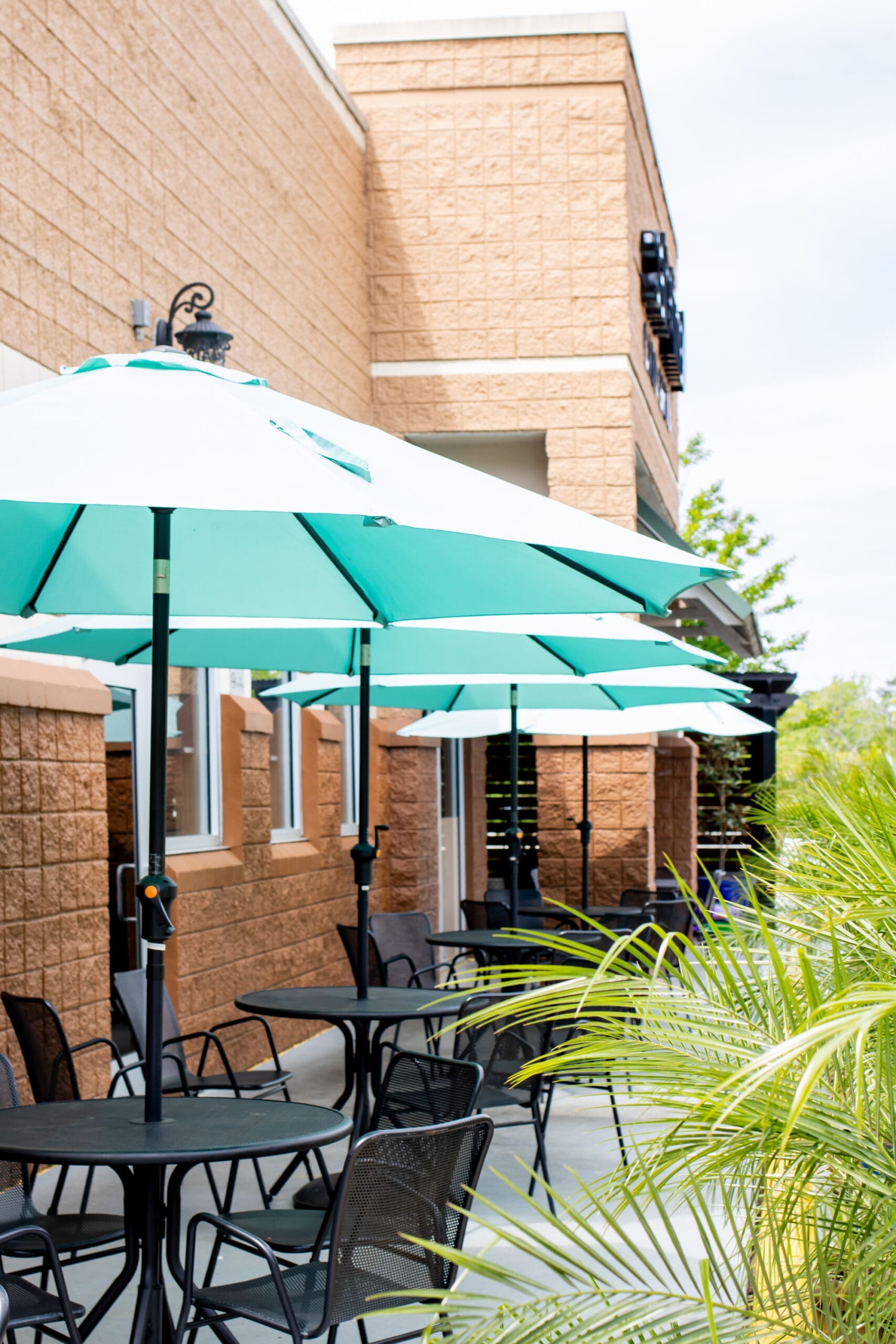 salt & lime patio