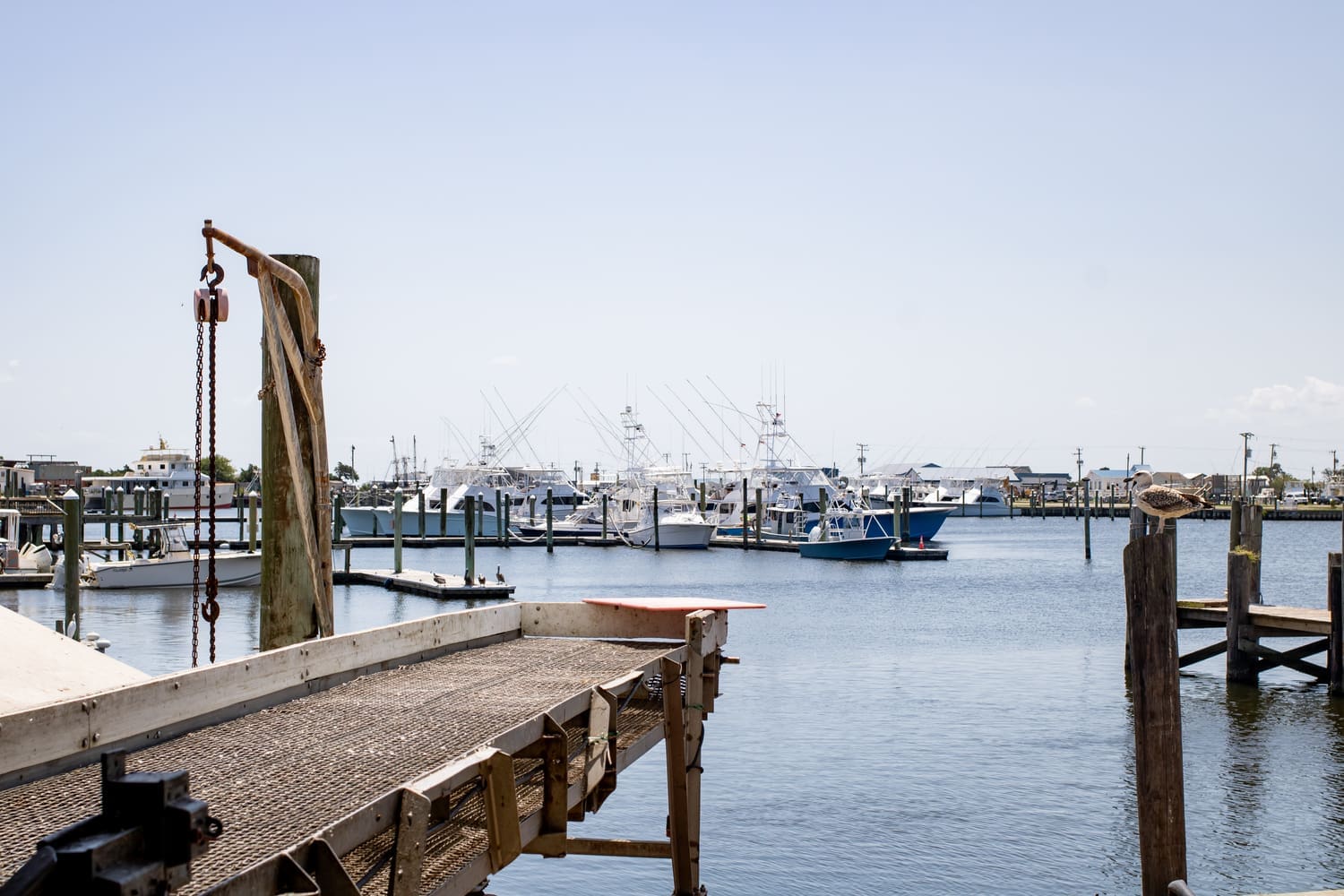 outer Banks restaurants