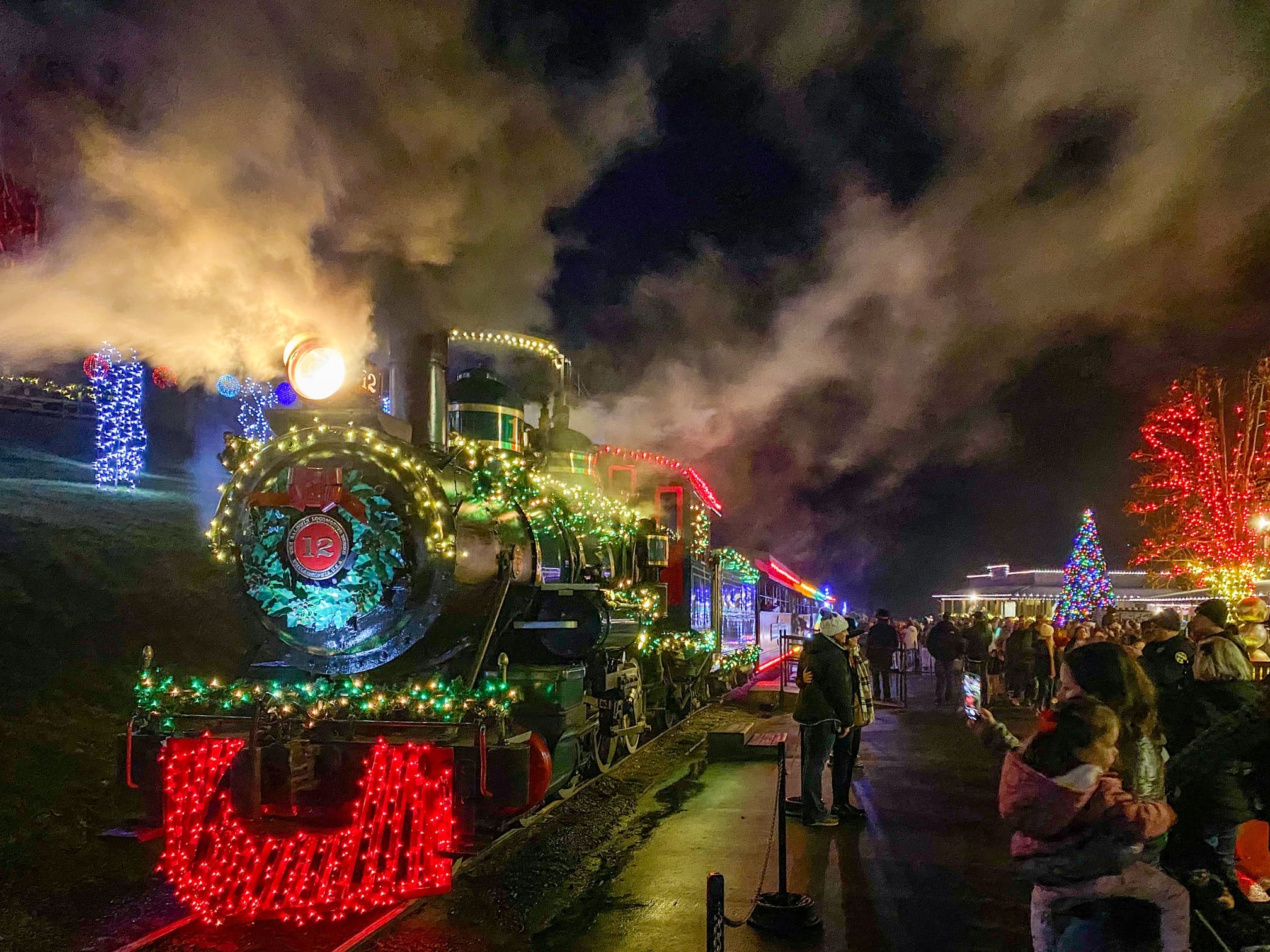 どんぐりアート♡ Xmasタペストリー＆White train ピンキーオブジェ Tweetsie Christmas: A Wild West Holiday Adventure in North